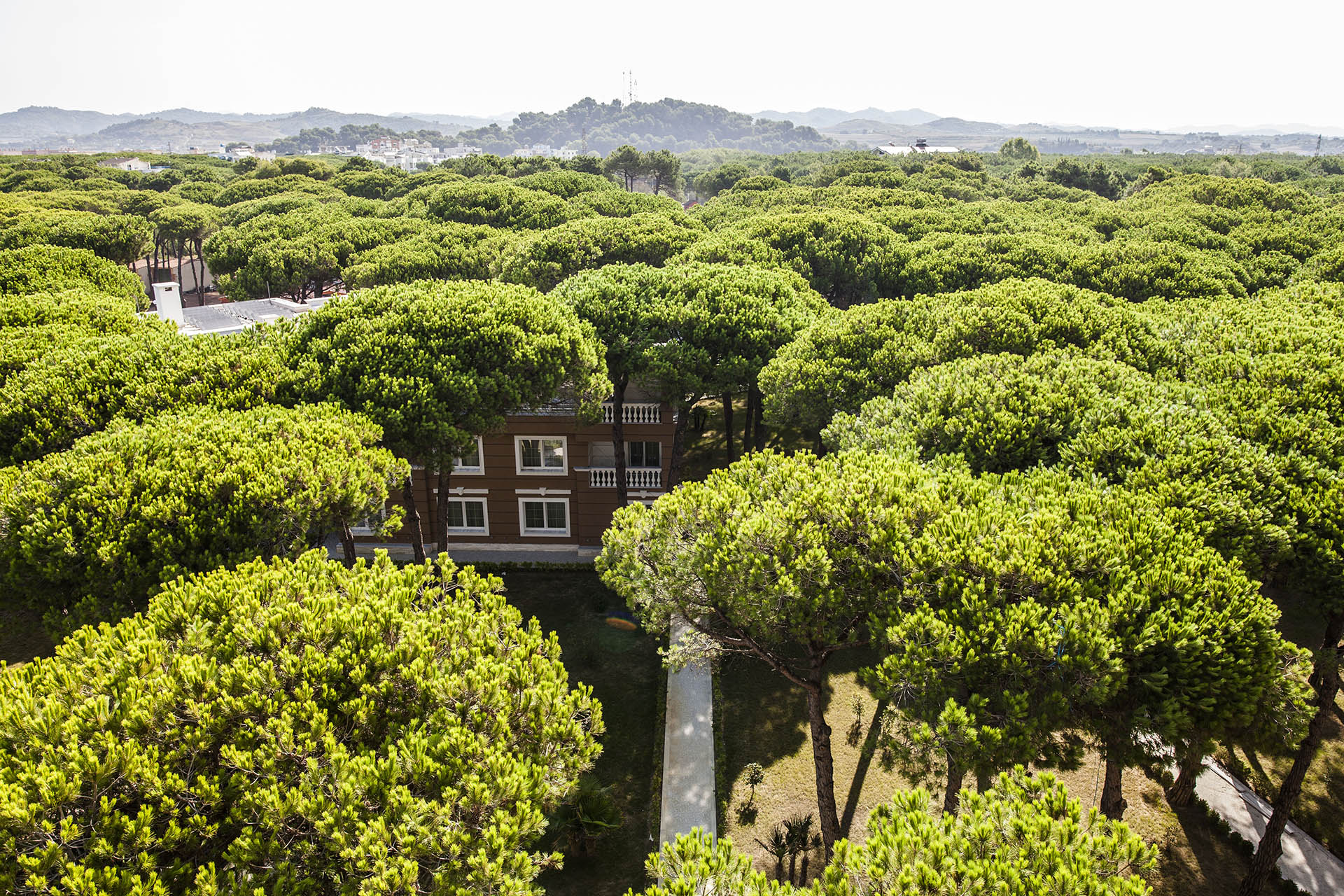 Whether for a family holiday, romantic getaway, or corporate retreat, Prestige Resort delivers a balanced blend of relaxation, entertainment, and personalized care.